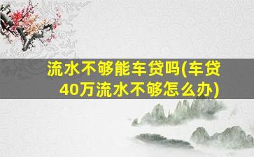 流水不够能车贷吗(车贷40万流水不够怎么办)