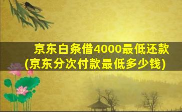 京东白条借4000最低还款(京东分次付款最低多少钱)