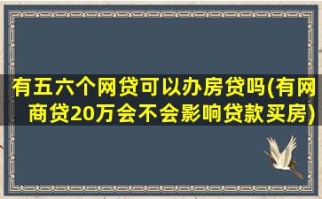 有五六个网贷可以办房贷吗(有网商贷20万会不会影响贷款买房)