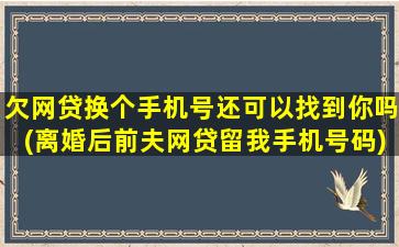 欠网贷换个手机号还可以找到你吗(离婚后前夫网贷留我手机号码)