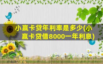 小赢卡贷年利率是多少(小赢卡贷借8000一年利息)