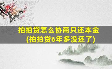 拍拍贷怎么协商只还本金(拍拍贷6年多没还了)