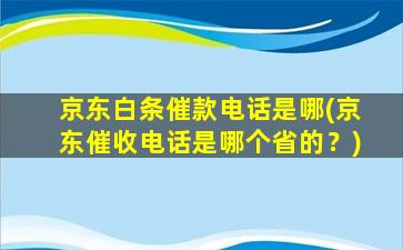 京东白条催款电话是哪(京东催收电话是哪个省的？)