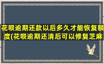 花呗逾期还款以后多久才能恢复额度(花呗逾期还清后可以修复芝麻信用吗)