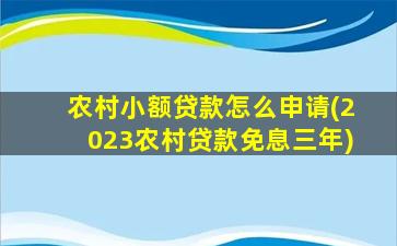 农村小额贷款怎么申请(2023农村贷款免息三年)