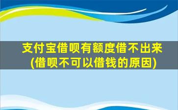 支付宝借呗有额度借不出来(借呗不可以借钱的原因)