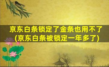 京东白条锁定了金条也用不了(京东白条被锁定一年多了)