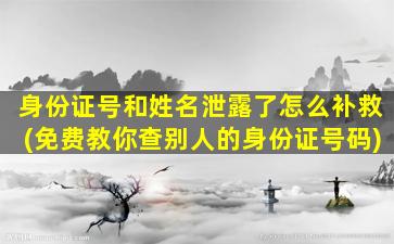 身份证号和姓名泄露了怎么补救(免费教你查别人的身份证号码)