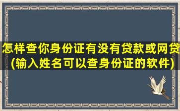 怎样查你身份证有没有贷款或网贷(输入姓名可以查身份证的软件)