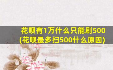 花呗有1万什么只能刷500(花呗最多扫500什么原因)