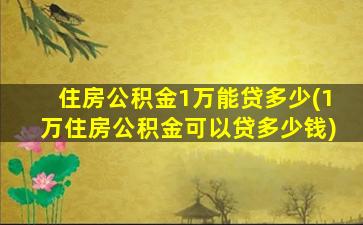 住房公积金1万能贷多少(1万住房公积金可以贷多少钱)