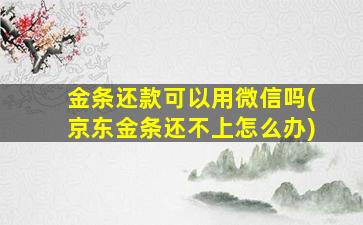 金条还款可以用微信吗(京东金条还不上怎么办)