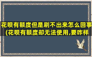 花呗有额度但是刷不出来怎么回事(花呗有额度却无法使用,要咋样解决)