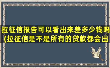 拉征信报告可以看出来差多少钱吗(拉征信是不是所有的贷款都会出来)