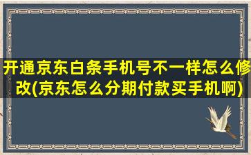 开通京东白条手机号不一样怎么修改(京东怎么分期付款买手机啊)