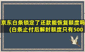 京东白条锁定了还款能恢复额度吗(白条止付后解封额度只有500)