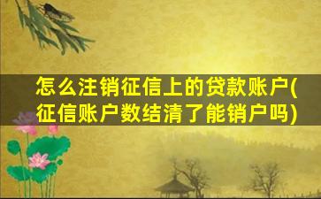 怎么注销征信上的贷款账户(征信账户数结清了能销户吗)