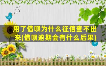 用了借呗为什么征信查不出来(借呗逾期会有什么后果)