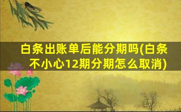 白条出账单后能分期吗(白条不小心12期分期怎么取消)