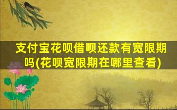 支付宝花呗借呗还款有宽限期吗(花呗宽限期在哪里查看)