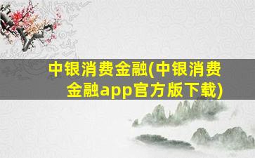 中银消费金融(中银消费金融app官方版下载)