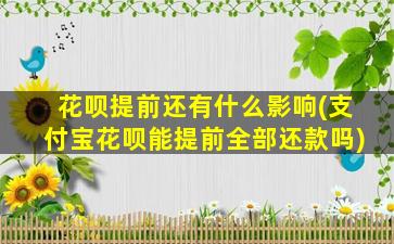 花呗提前还有什么影响(支付宝花呗能提前全部还款吗)