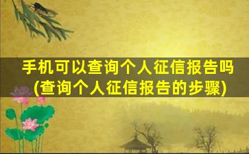 手机可以查询个人征信报告吗(查询个人征信报告的步骤)