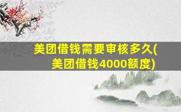 美团借钱需要审核多久(美团借钱4000额度)