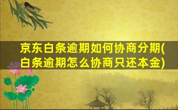 京东白条逾期如何协商分期(白条逾期怎么协商只还本金)