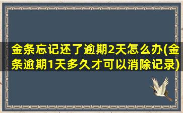 金条忘记还了逾期2天怎么办(金条逾期1天多久才可以消除记录)