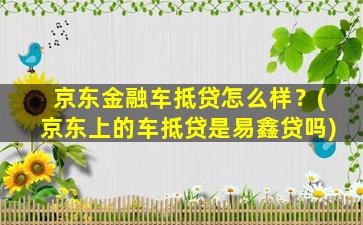 京东金融车抵贷怎么样？(京东上的车抵贷是易鑫贷吗)