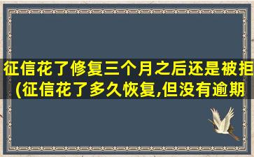 征信花了修复三个月之后还是被拒(征信花了多久恢复,但没有逾期)