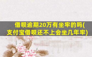 借呗逾期20万有坐牢的吗(支付宝借呗还不上会坐几年牢)