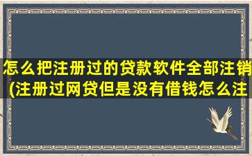 怎么把注册过的贷款软件全部注销(注册过网贷但是没有借钱怎么注销)