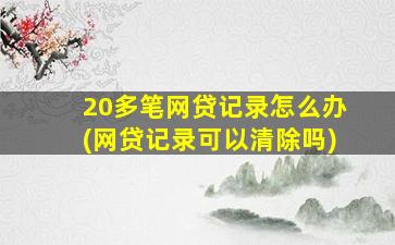 20多笔网贷记录怎么办(网贷记录可以清除吗)