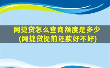 网捷贷怎么查询额度是多少(网捷贷提前还款好不好)