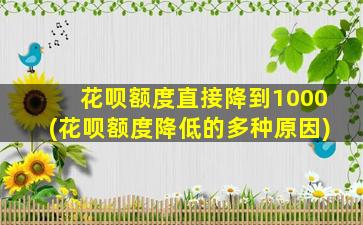 花呗额度直接降到1000(花呗额度降低的多种原因)