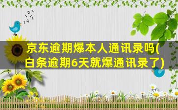 京东逾期爆本人通讯录吗(白条逾期6天就爆通讯录了)