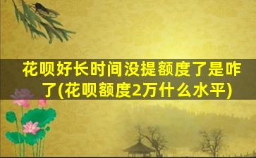 花呗好长时间没提额度了是咋了(花呗额度2万什么水平)