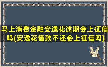 马上消费金融安逸花逾期会上征信吗(安逸花借款不还会上征信吗)