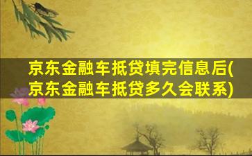 京东金融车抵贷填完信息后(京东金融车抵贷多久会联系)