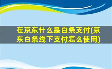 在京东什么是白条支付(京东白条线下支付怎么使用)