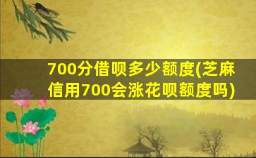 700分借呗多少额度(芝麻信用700会涨花呗额度吗)