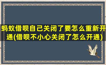 蚂蚁借呗自己关闭了要怎么重新开通(借呗不小心关闭了怎么开通)