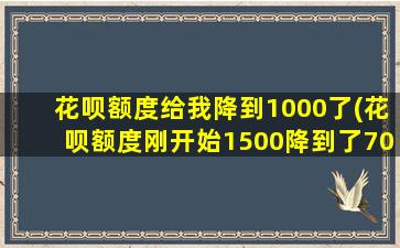 花呗额度给我降到1000了(花呗额度刚开始1500降到了70)