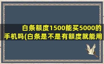 白条额度1500能买5000的手机吗(白条是不是有额度就能用)