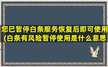 您已暂停白条服务恢复后即可使用(白条有风险暂停使用是什么意思)