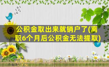 公积金取出来就销户了(离职6个月后公积金无法提取)