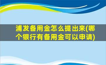 浦发备用金怎么提出来(哪个银行有备用金可以申请)