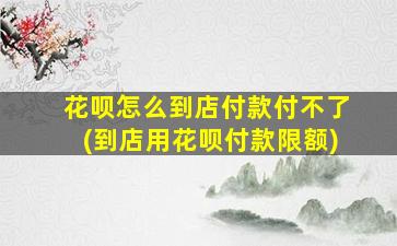 花呗怎么到店付款付不了(到店用花呗付款限额)